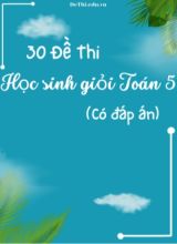 Bộ 30 Đề thi học sinh giỏi Toán Lớp 5 (Có đáp án)